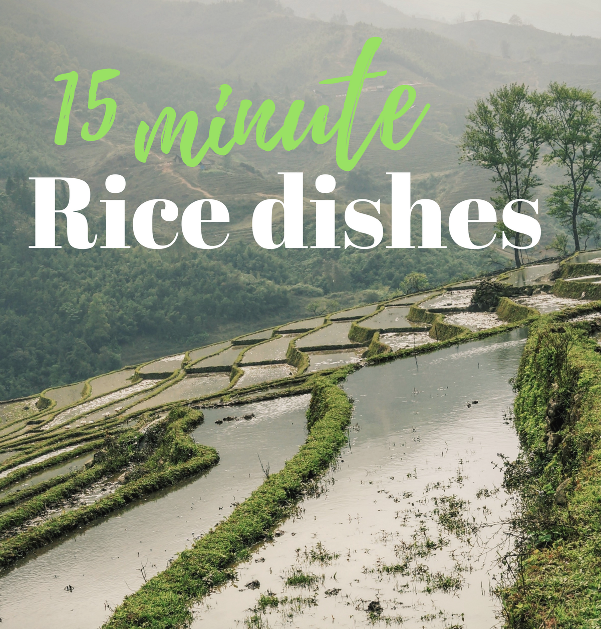 Vegan Food & Living Exclusive: 15 minute rice dishes