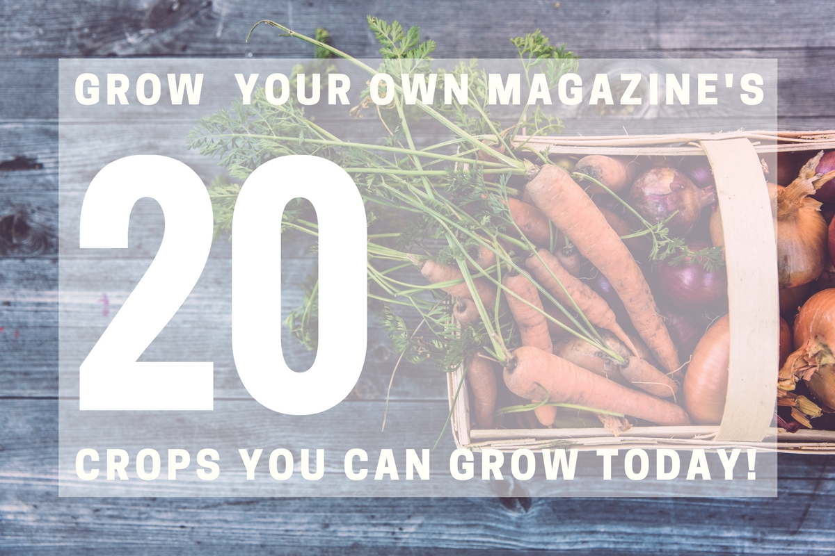 Grow Your Own magazine's 20 Crops You Can Grow Today! 