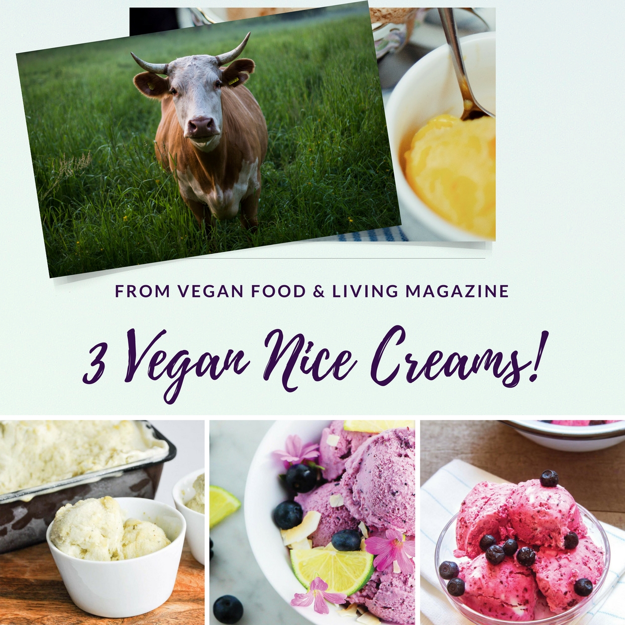  3 Vegan Nice Creams from Vegan Food & Living