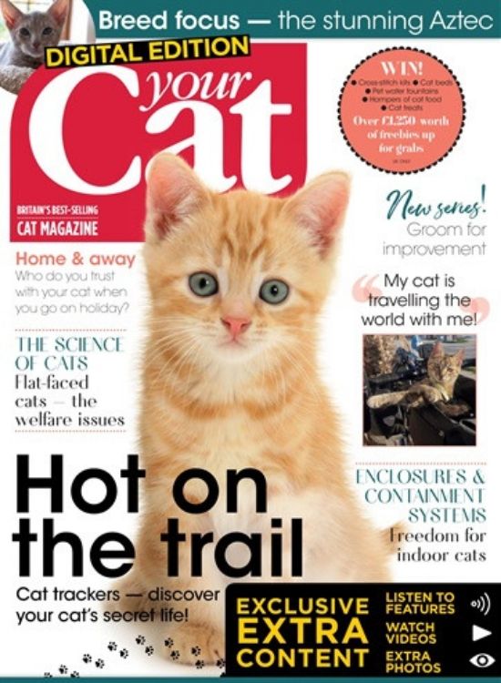 The 5 Best Animal Magazines | Pocketmags Discover